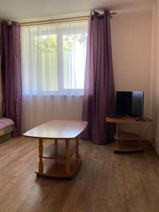 Апартаменты Sodu apartamentai Palangoje Паланга Апартаменты с 1 спальней-10